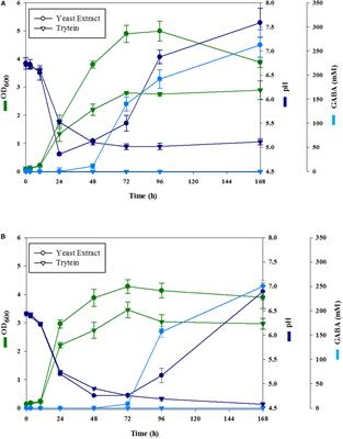 Immunomodulatory Properties of a γ-Aminobutyric Acid-Enriched Strawberry Juice Produced by Levilactobacillus brevis CRL 2013